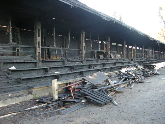 Bild: Rupert Bogensperger