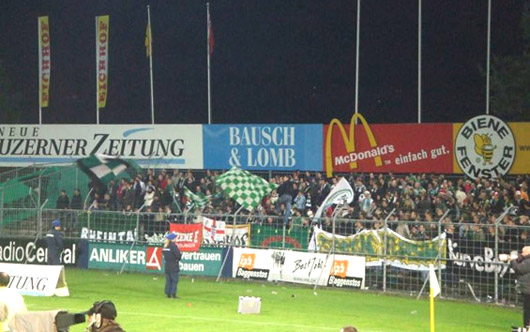 Bild: DER (PF)LÄSTERSTEIN