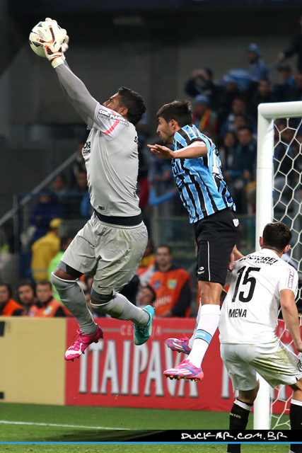 FC Santos Torhüter Aranha beim Spiel in Porto Alegre.<br />    <button type=