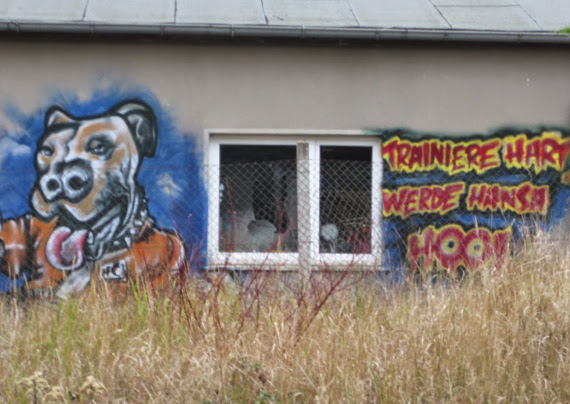 Hansa Rostock Graffiti sind überall in Mecklenburg-Vorpommern zu sehen<br />    <button type=