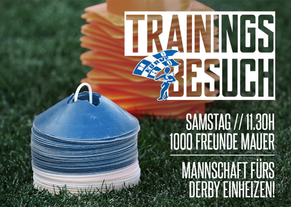Mobilisierungsflyer der Ultras Gelsenkirchen<br />    <button type=