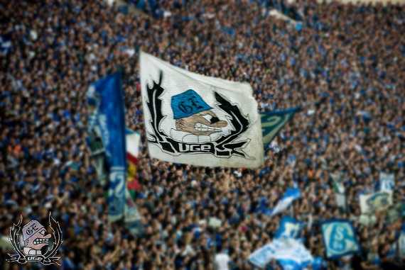Die Ultras Gelsenkirchen haben eine Diskussionsgrundlage zur Reformierung der DFB-Sportgerichtsbarkeit vorgelegt.<br />Bild: Ultras-GE.de”><figcaption>Die Ultras Gelsenkirchen haben eine Diskussionsgrundlage zur Reformierung der DFB-Sportgerichtsbarkeit vorgelegt.<br />Bild: Ultras-GE.de</figcaption></figure>
                </div>
                
                <!-- YouTube (Meta-Feld) -->
                
            </div>
        </article>

                <script>
        (function() {
            var root = document.querySelector('.ff-single-news-gallery');
            if (!root) return;
            var slides = root.querySelectorAll('.ff-single-news-gallery-slide');
            var dots = root.querySelectorAll('.ff-single-news-gallery-dot');
            var prev = root.querySelector('.ff-single-news-gallery-prev');
            var next = root.querySelector('.ff-single-news-gallery-next');
            var n = slides.length;
            if (n < 2) return;
            var i = 0;
            function closeAllImgInfo() {
                root.querySelectorAll('.ff-fv-img-info-host.is-info-open').forEach(function(host) {
                    host.classList.remove('is-info-open');
                    var b = host.querySelector('.ff-fv-img-info-btn');
                    var p = host.querySelector('.ff-fv-img-info-panel');
                    if (b) b.setAttribute('aria-expanded', 'false');
                    if (p) p.setAttribute('aria-hidden', 'true');
                });
            }
            function show(idx) {
                closeAllImgInfo();
                i = ((idx % n) + n) % n;
                for (var s = 0; s < n; s++) {
                    if (s === i) slides[s].removeAttribute('hidden'); else slides[s].setAttribute('hidden', '');
                }
                for (var s = 0; s < dots.length; s++) {
                    dots[s].classList.toggle('is-active', s === i);
                    dots[s].setAttribute('aria-selected', s === i ? 'true' : 'false');
                }
            }
            if (prev) prev.addEventListener('click', function() { show(i - 1); });
            if (next) next.addEventListener('click', function() { show(i + 1); });
            for (var d = 0; d < dots.length; d++) {
                (function(di) { dots[di].addEventListener('click', function() { show(di); }); })(d);
            }
        })();
        </script>
        
        <!-- Kommentare -->
                <section class=