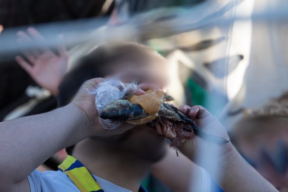 FCC-Fan mit einem Fisch im Brötchen, statt einer Thüringer Bratwurst. Bild: Horda-Azzuro.de