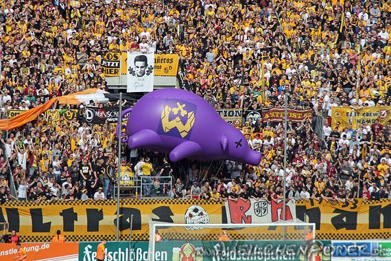 Unter den Dynamo Dresden Fans zählt Erzgebirge Aue zu den unbeliebtesten Vereinen.<br />Bild: Veilchenpower.de”><figcaption>Unter den Dynamo Dresden Fans zählt Erzgebirge Aue zu den unbeliebtesten Vereinen.<br />Bild: Veilchenpower.de</figcaption></figure>
                </div>
                
                <!-- YouTube (Meta-Feld) -->
                
            </div>
        </article>

                <script>
        (function() {
            var root = document.querySelector('.ff-single-news-gallery');
            if (!root) return;
            var slides = root.querySelectorAll('.ff-single-news-gallery-slide');
            var dots = root.querySelectorAll('.ff-single-news-gallery-dot');
            var prev = root.querySelector('.ff-single-news-gallery-prev');
            var next = root.querySelector('.ff-single-news-gallery-next');
            var n = slides.length;
            if (n < 2) return;
            var i = 0;
            function closeAllImgInfo() {
                root.querySelectorAll('.ff-fv-img-info-host.is-info-open').forEach(function(host) {
                    host.classList.remove('is-info-open');
                    var b = host.querySelector('.ff-fv-img-info-btn');
                    var p = host.querySelector('.ff-fv-img-info-panel');
                    if (b) b.setAttribute('aria-expanded', 'false');
                    if (p) p.setAttribute('aria-hidden', 'true');
                });
            }
            function show(idx) {
                closeAllImgInfo();
                i = ((idx % n) + n) % n;
                for (var s = 0; s < n; s++) {
                    if (s === i) slides[s].removeAttribute('hidden'); else slides[s].setAttribute('hidden', '');
                }
                for (var s = 0; s < dots.length; s++) {
                    dots[s].classList.toggle('is-active', s === i);
                    dots[s].setAttribute('aria-selected', s === i ? 'true' : 'false');
                }
            }
            if (prev) prev.addEventListener('click', function() { show(i - 1); });
            if (next) next.addEventListener('click', function() { show(i + 1); });
            for (var d = 0; d < dots.length; d++) {
                (function(di) { dots[di].addEventListener('click', function() { show(di); }); })(d);
            }
        })();
        </script>
        
        <!-- Kommentare -->
                <section class=