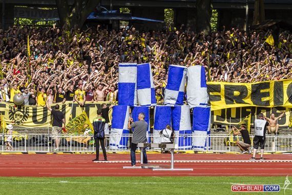 In der aktiven Dortmunder Fanszene hatte man keine Lust das Auswärtsspiel bei Red Bull Salzburg zu besuchen.<br />Bild: Rot-Blau.com”><figcaption>In der aktiven Dortmunder Fanszene hatte man keine Lust das Auswärtsspiel bei Red Bull Salzburg zu besuchen.<br />Bild: Rot-Blau.com</figcaption></figure>
                </div>
                
                <!-- YouTube (Meta-Feld) -->
                
            </div>
        </article>

                <script>
        (function() {
            var root = document.querySelector('.ff-single-news-gallery');
            if (!root) return;
            var slides = root.querySelectorAll('.ff-single-news-gallery-slide');
            var dots = root.querySelectorAll('.ff-single-news-gallery-dot');
            var prev = root.querySelector('.ff-single-news-gallery-prev');
            var next = root.querySelector('.ff-single-news-gallery-next');
            var n = slides.length;
            if (n < 2) return;
            var i = 0;
            function closeAllImgInfo() {
                root.querySelectorAll('.ff-fv-img-info-host.is-info-open').forEach(function(host) {
                    host.classList.remove('is-info-open');
                    var b = host.querySelector('.ff-fv-img-info-btn');
                    var p = host.querySelector('.ff-fv-img-info-panel');
                    if (b) b.setAttribute('aria-expanded', 'false');
                    if (p) p.setAttribute('aria-hidden', 'true');
                });
            }
            function show(idx) {
                closeAllImgInfo();
                i = ((idx % n) + n) % n;
                for (var s = 0; s < n; s++) {
                    if (s === i) slides[s].removeAttribute('hidden'); else slides[s].setAttribute('hidden', '');
                }
                for (var s = 0; s < dots.length; s++) {
                    dots[s].classList.toggle('is-active', s === i);
                    dots[s].setAttribute('aria-selected', s === i ? 'true' : 'false');
                }
            }
            if (prev) prev.addEventListener('click', function() { show(i - 1); });
            if (next) next.addEventListener('click', function() { show(i + 1); });
            for (var d = 0; d < dots.length; d++) {
                (function(di) { dots[di].addEventListener('click', function() { show(di); }); })(d);
            }
        })();
        </script>
        
        <!-- Kommentare -->
                <section class=