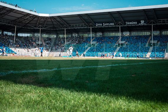 Die Otto-Siffling-Tribüne beim Heimspiel gegen Ulm<br />Bild: Waldhof-Fotos.de”><figcaption>Die Otto-Siffling-Tribüne beim Heimspiel gegen Ulm<br />Bild: Waldhof-Fotos.de</figcaption></figure>
                </div>
                
                <!-- YouTube (Meta-Feld) -->
                
            </div>
        </article>

                <script>
        (function() {
            var root = document.querySelector('.ff-single-news-gallery');
            if (!root) return;
            var slides = root.querySelectorAll('.ff-single-news-gallery-slide');
            var dots = root.querySelectorAll('.ff-single-news-gallery-dot');
            var prev = root.querySelector('.ff-single-news-gallery-prev');
            var next = root.querySelector('.ff-single-news-gallery-next');
            var n = slides.length;
            if (n < 2) return;
            var i = 0;
            function closeAllImgInfo() {
                root.querySelectorAll('.ff-fv-img-info-host.is-info-open').forEach(function(host) {
                    host.classList.remove('is-info-open');
                    var b = host.querySelector('.ff-fv-img-info-btn');
                    var p = host.querySelector('.ff-fv-img-info-panel');
                    if (b) b.setAttribute('aria-expanded', 'false');
                    if (p) p.setAttribute('aria-hidden', 'true');
                });
            }
            function show(idx) {
                closeAllImgInfo();
                i = ((idx % n) + n) % n;
                for (var s = 0; s < n; s++) {
                    if (s === i) slides[s].removeAttribute('hidden'); else slides[s].setAttribute('hidden', '');
                }
                for (var s = 0; s < dots.length; s++) {
                    dots[s].classList.toggle('is-active', s === i);
                    dots[s].setAttribute('aria-selected', s === i ? 'true' : 'false');
                }
            }
            if (prev) prev.addEventListener('click', function() { show(i - 1); });
            if (next) next.addEventListener('click', function() { show(i + 1); });
            for (var d = 0; d < dots.length; d++) {
                (function(di) { dots[di].addEventListener('click', function() { show(di); }); })(d);
            }
        })();
        </script>
        
        <!-- Kommentare -->
                <section class=
