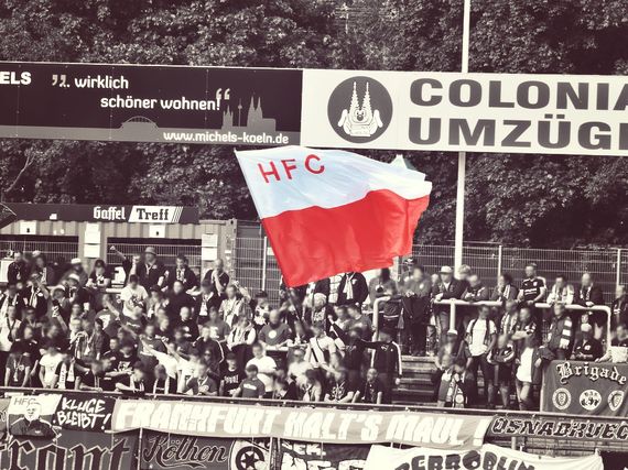 Die Fanszene des Halleschen FC wird morgen in Gedenken an einen verstorbenen HFC-Fan eine Viertelstunde lang schweigen.<br />Bild: knipser.koeln”><figcaption>Die Fanszene des Halleschen FC wird morgen in Gedenken an einen verstorbenen HFC-Fan eine Viertelstunde lang schweigen.<br />Bild: knipser.koeln</figcaption></figure>
                </div>
                
                <!-- YouTube (Meta-Feld) -->
                
            </div>
        </article>

                <script>
        (function() {
            var root = document.querySelector('.ff-single-news-gallery');
            if (!root) return;
            var slides = root.querySelectorAll('.ff-single-news-gallery-slide');
            var dots = root.querySelectorAll('.ff-single-news-gallery-dot');
            var prev = root.querySelector('.ff-single-news-gallery-prev');
            var next = root.querySelector('.ff-single-news-gallery-next');
            var n = slides.length;
            if (n < 2) return;
            var i = 0;
            function closeAllImgInfo() {
                root.querySelectorAll('.ff-fv-img-info-host.is-info-open').forEach(function(host) {
                    host.classList.remove('is-info-open');
                    var b = host.querySelector('.ff-fv-img-info-btn');
                    var p = host.querySelector('.ff-fv-img-info-panel');
                    if (b) b.setAttribute('aria-expanded', 'false');
                    if (p) p.setAttribute('aria-hidden', 'true');
                });
            }
            function show(idx) {
                closeAllImgInfo();
                i = ((idx % n) + n) % n;
                for (var s = 0; s < n; s++) {
                    if (s === i) slides[s].removeAttribute('hidden'); else slides[s].setAttribute('hidden', '');
                }
                for (var s = 0; s < dots.length; s++) {
                    dots[s].classList.toggle('is-active', s === i);
                    dots[s].setAttribute('aria-selected', s === i ? 'true' : 'false');
                }
            }
            if (prev) prev.addEventListener('click', function() { show(i - 1); });
            if (next) next.addEventListener('click', function() { show(i + 1); });
            for (var d = 0; d < dots.length; d++) {
                (function(di) { dots[di].addEventListener('click', function() { show(di); }); })(d);
            }
        })();
        </script>
        
        <!-- Kommentare -->
                <section class=