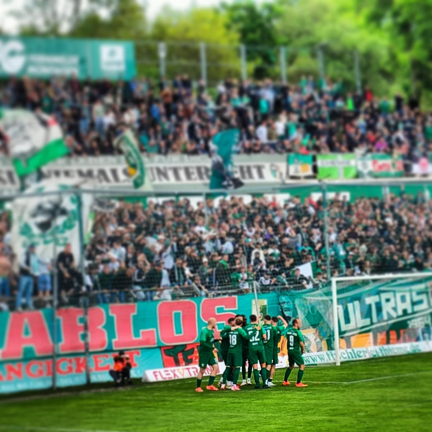 BSG Chemie Leipzig – Hertha BSC II 2-2 (1)