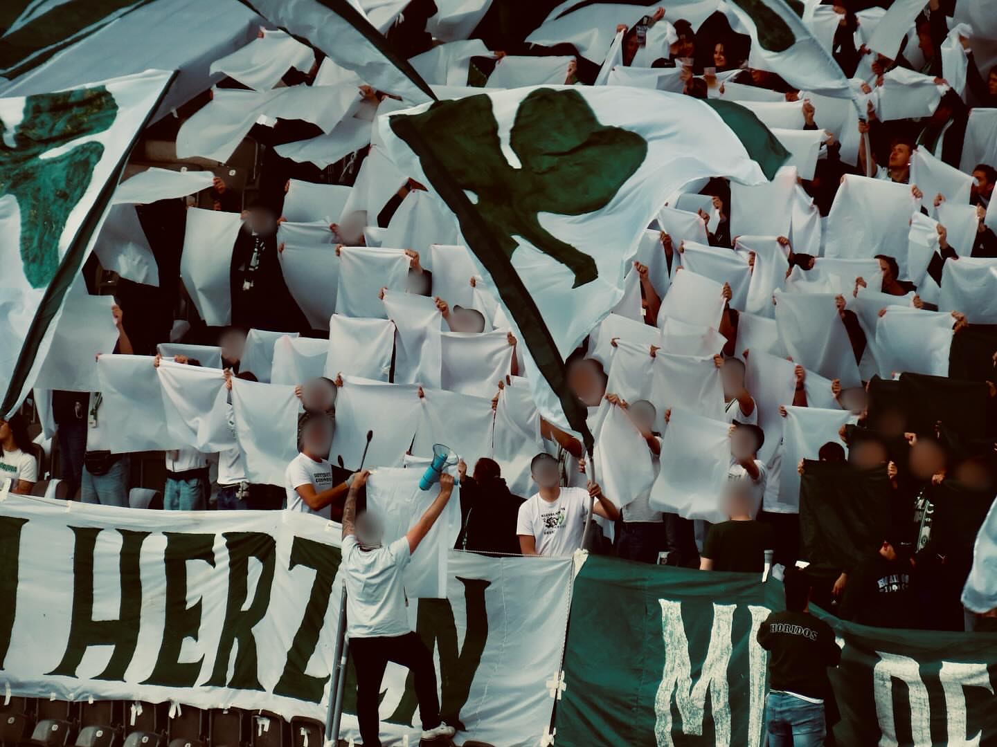 Hertha BSC – SpVgg Fürth 1-0 (6)