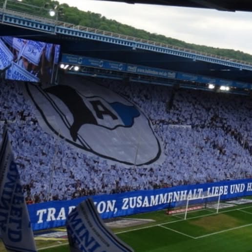 DSC Arminia Bielefeld – Dynamo Dresden 1-1 (1)