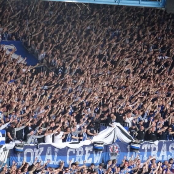 DSC Arminia Bielefeld – Dynamo Dresden 1-1 (3)