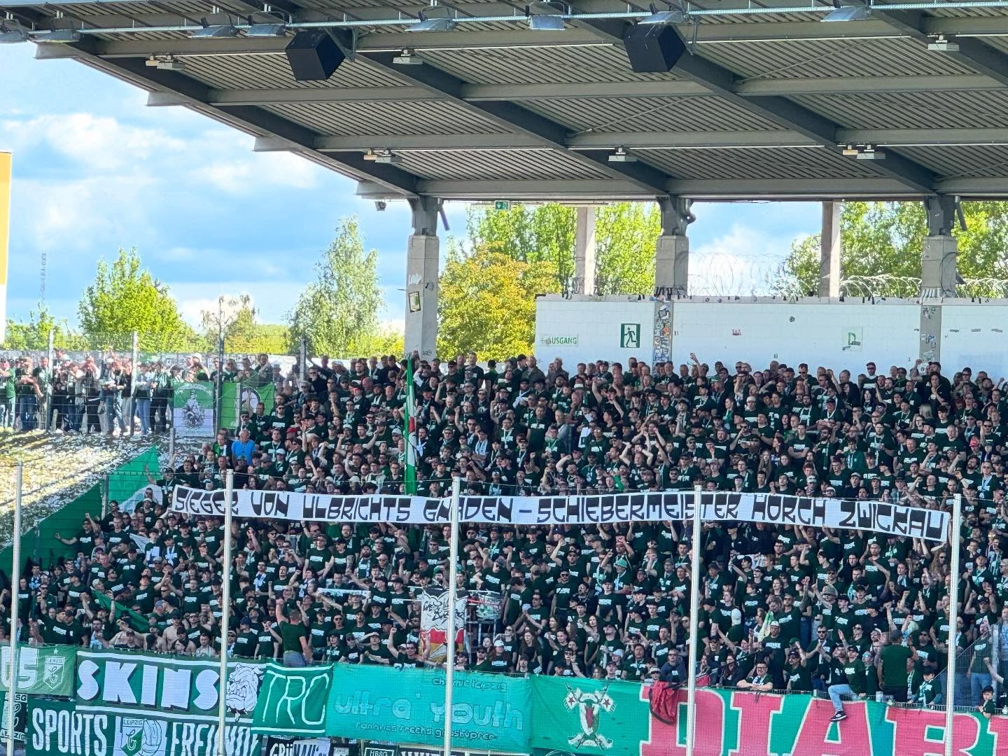 FSV Zwickau – BSG Chemie Leipzig 1-1 (6)