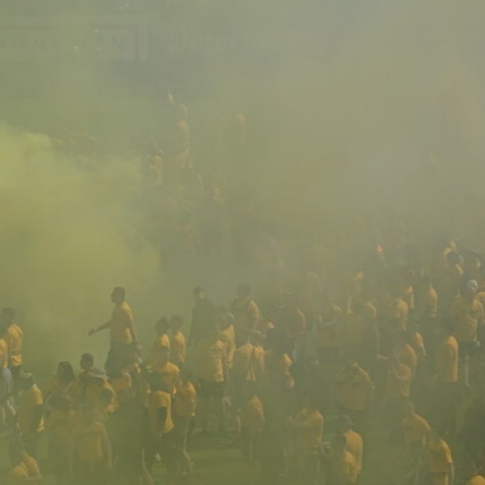 SV Waldhof Mannheim – Dynamo Dresden 1-0 (3)