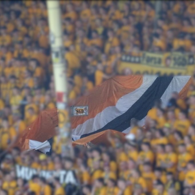 SV Waldhof Mannheim – Dynamo Dresden 1-0 (33)
