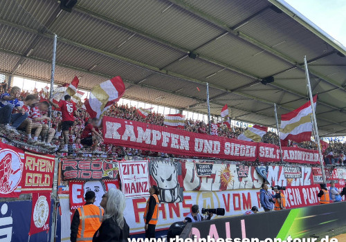 VfL Bochum – 1. FSV Mainz 05 1-4 (1)