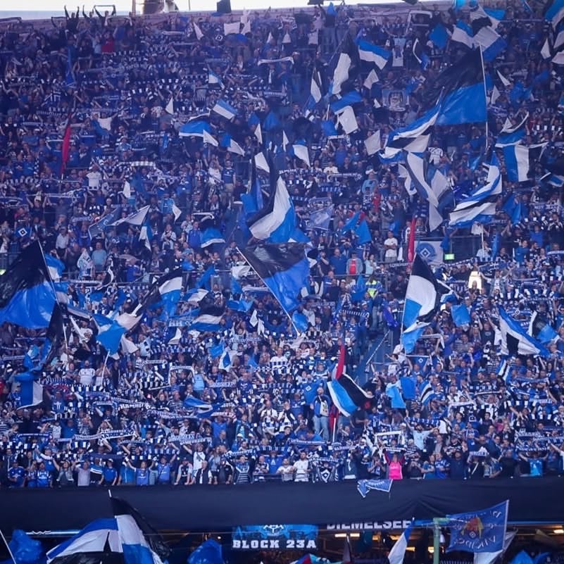 Hamburger SV – SSV Ulm 1846 6-1 (2)