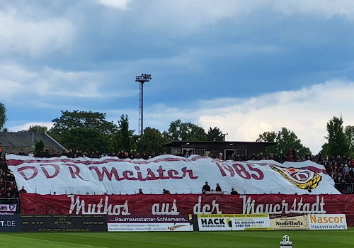 Berliner FC Dynamo – FSV Zwickau 2-2 (6)