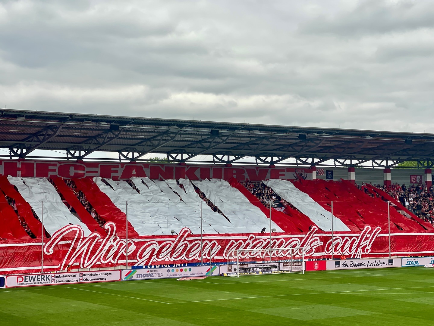 Hallescher FC – Berliner FC Dynamo 1:0 (3)