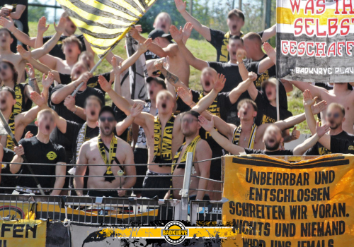 VFC Plauen – Empor Glauchau 1-0 (5)