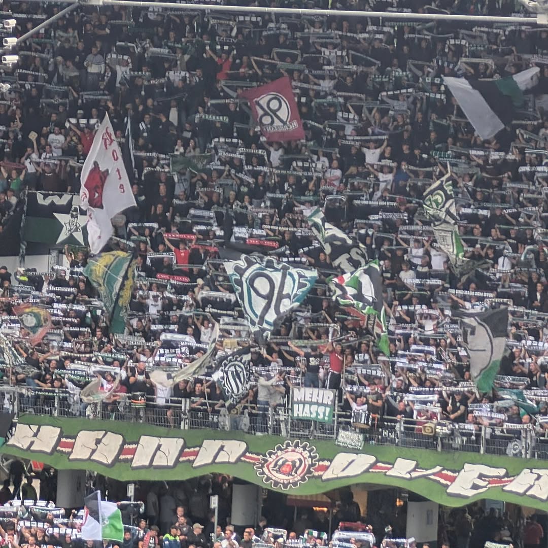Hannover 96 – 1. FC Magdeburg 2-1 (2)