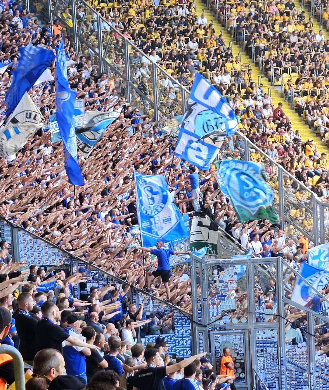SG Dynamo Dresden – FC Schalke 04 0:1 (1)