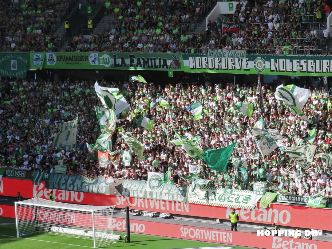 VfL Wolfsburg – 1. FSV Mainz 05 1:1