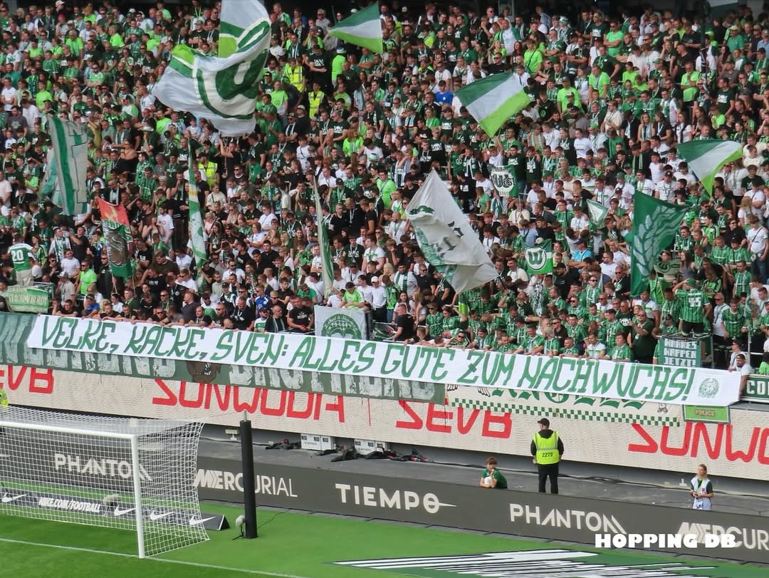 VfL Wolfsburg – 1. FSV Mainz 05 1:1 (1)