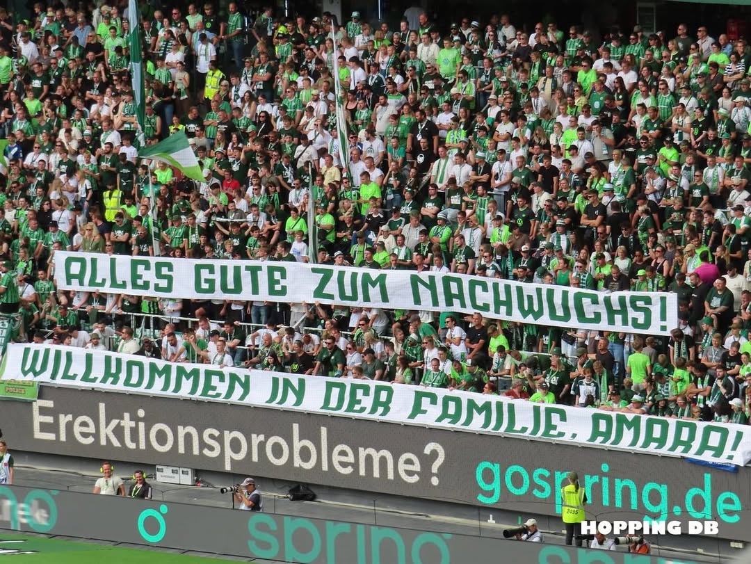 VfL Wolfsburg – 1. FSV Mainz 05 1:1 (2)