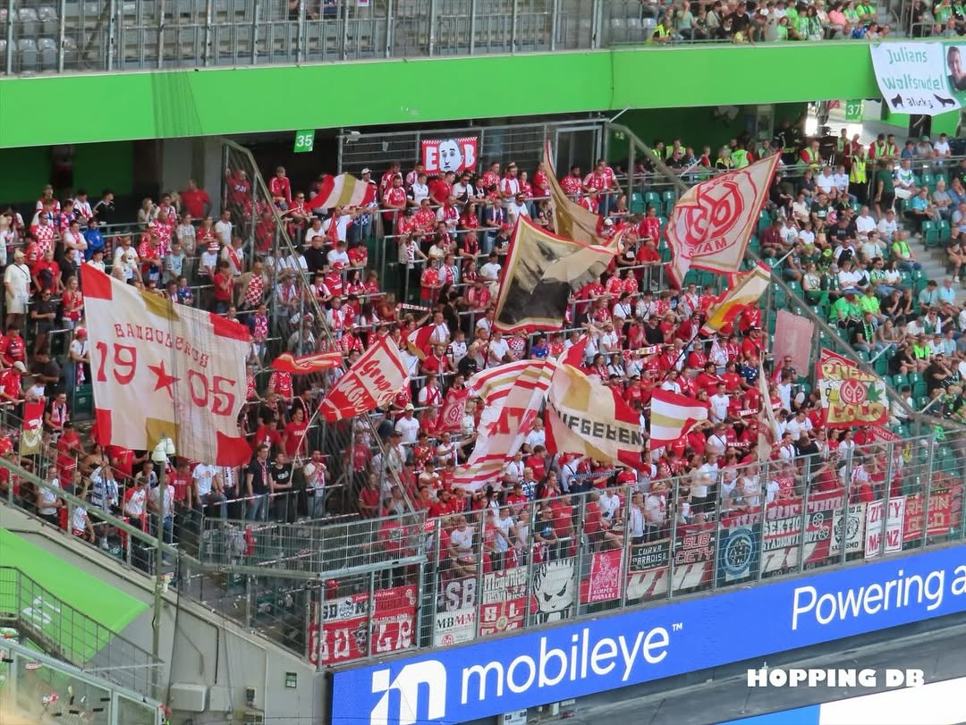 VfL Wolfsburg – 1. FSV Mainz 05 1:1 (3)