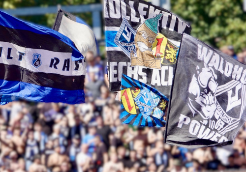 SSV Ulm 1846 – SV Waldhof Mannheim 1:2 (5)