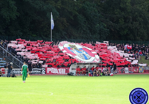 SSC Weißenfels – Hallescher FC 0:3 (7)
