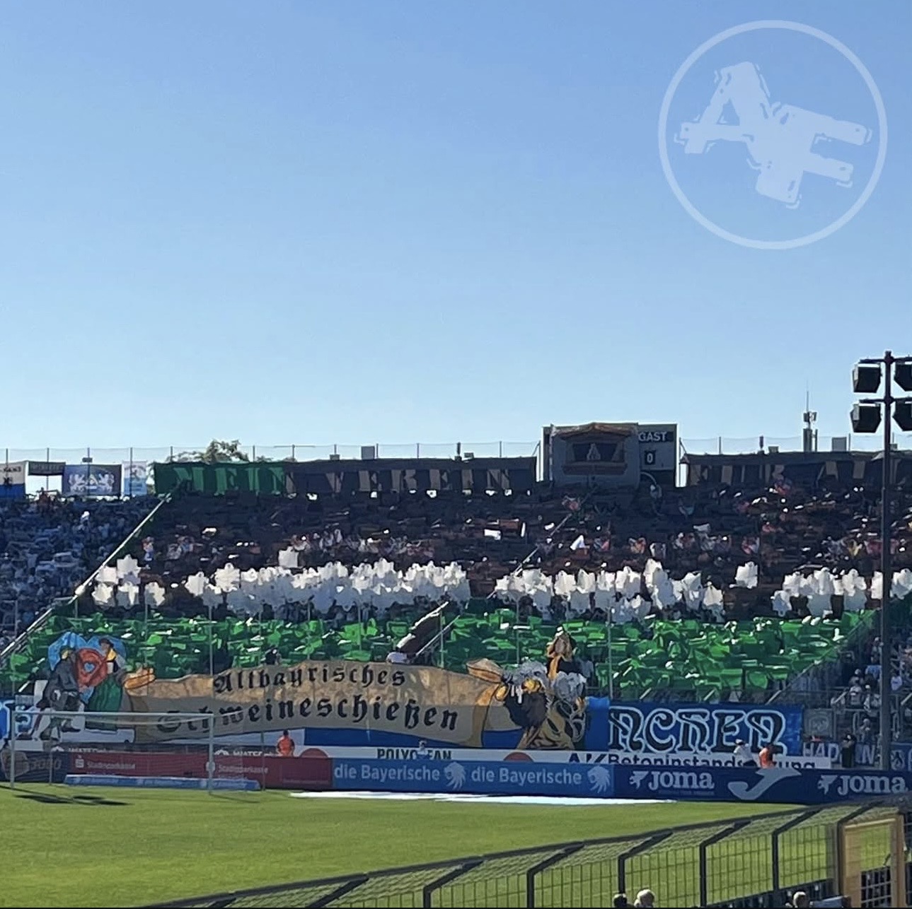 TSV 1860 München – TSG Hoffenheim II 5:1 (1)