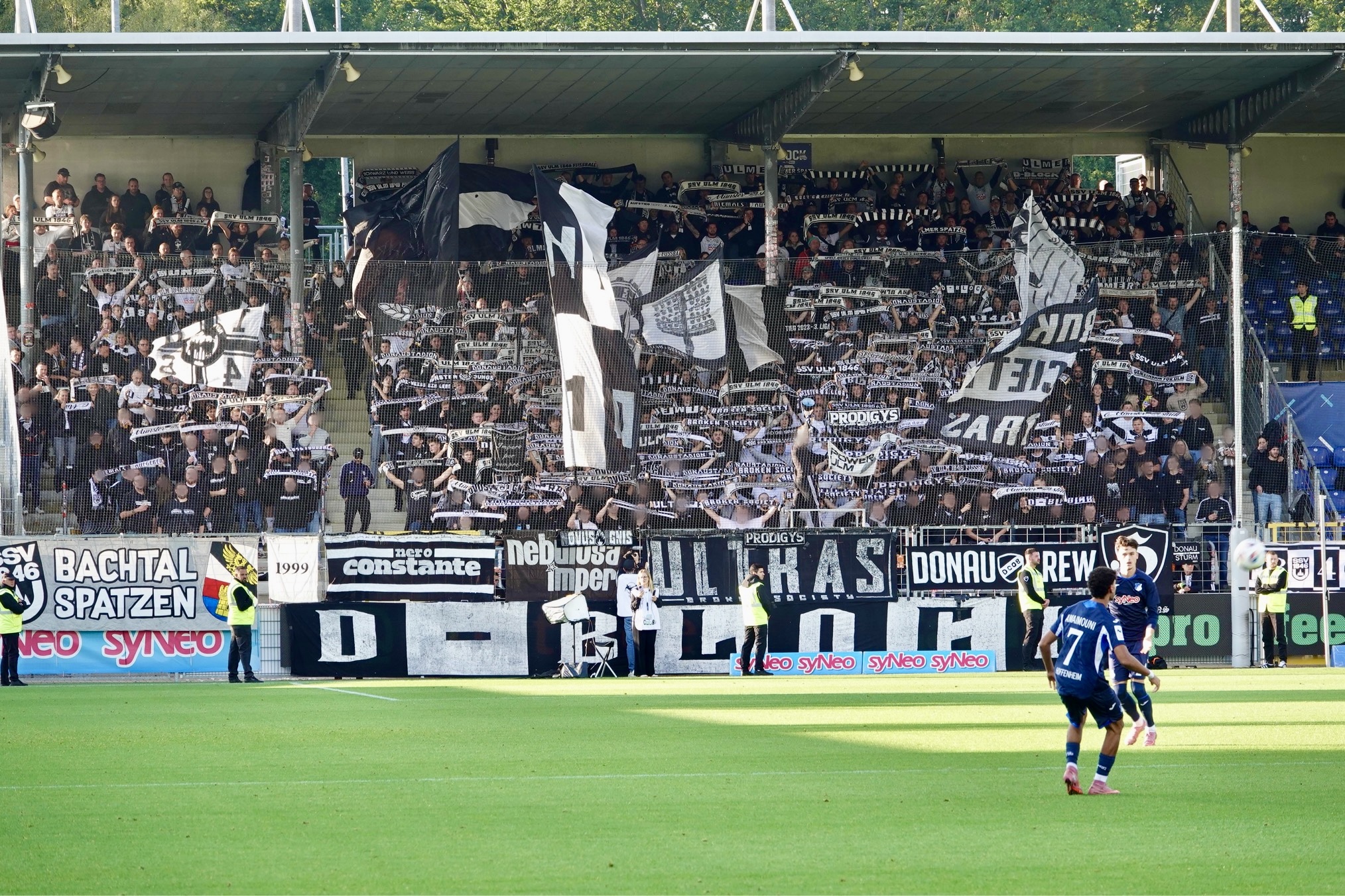 TSG Hoffenheim II – SSV Ulm 1846 1:1 (1)