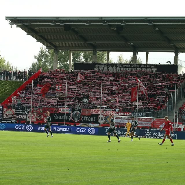 FSV Zwickau – Hallescher FC 2:1 (2)