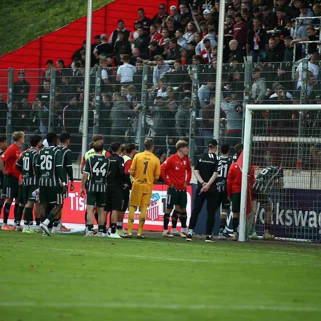 FSV Zwickau – Hallescher FC 2:1 (3)