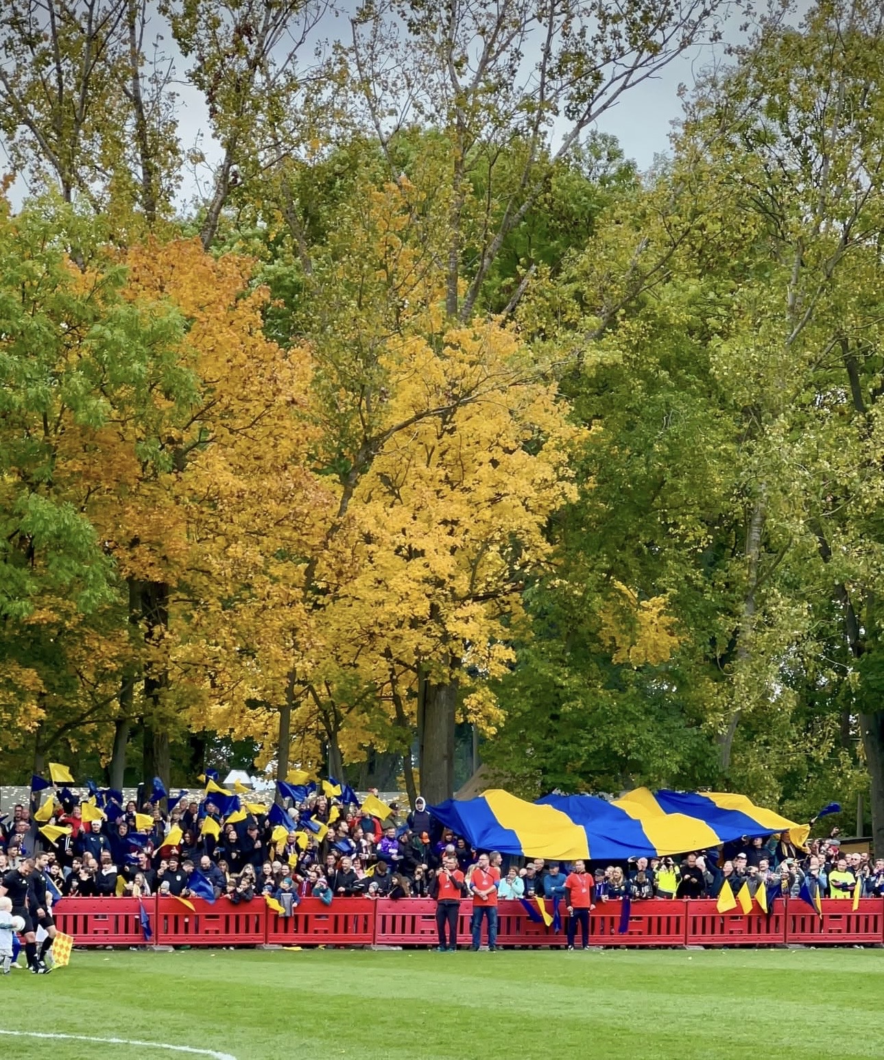 SV Panitzsch/Borsdorf – FC Erzgebirge Aue 1:7 (1)