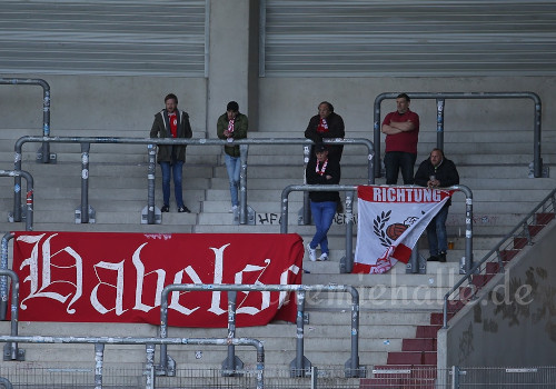 Hallescher FC – TSV Havelse 1-1 (1)