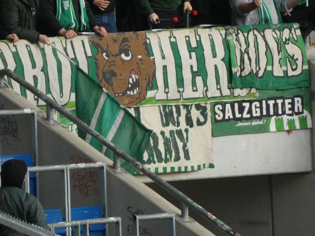 TSG Hoffenheim – VfL Wolfsburg 1-2 (5)