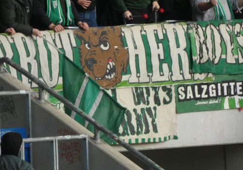 TSG Hoffenheim – VfL Wolfsburg 1-2 (6)