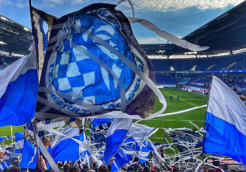 Heimfans | MSV Duisburg – VfL Osnabrück (28.01.2023) 1-2