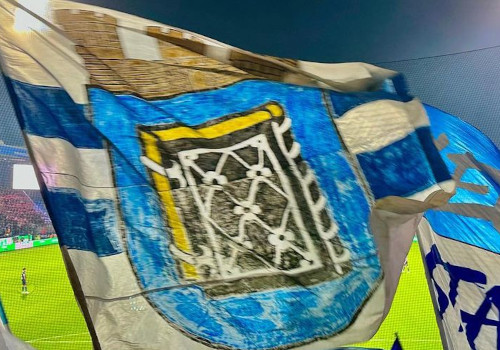 VfL Bochum – 1. FSV Mainz 05 2-2 (21)