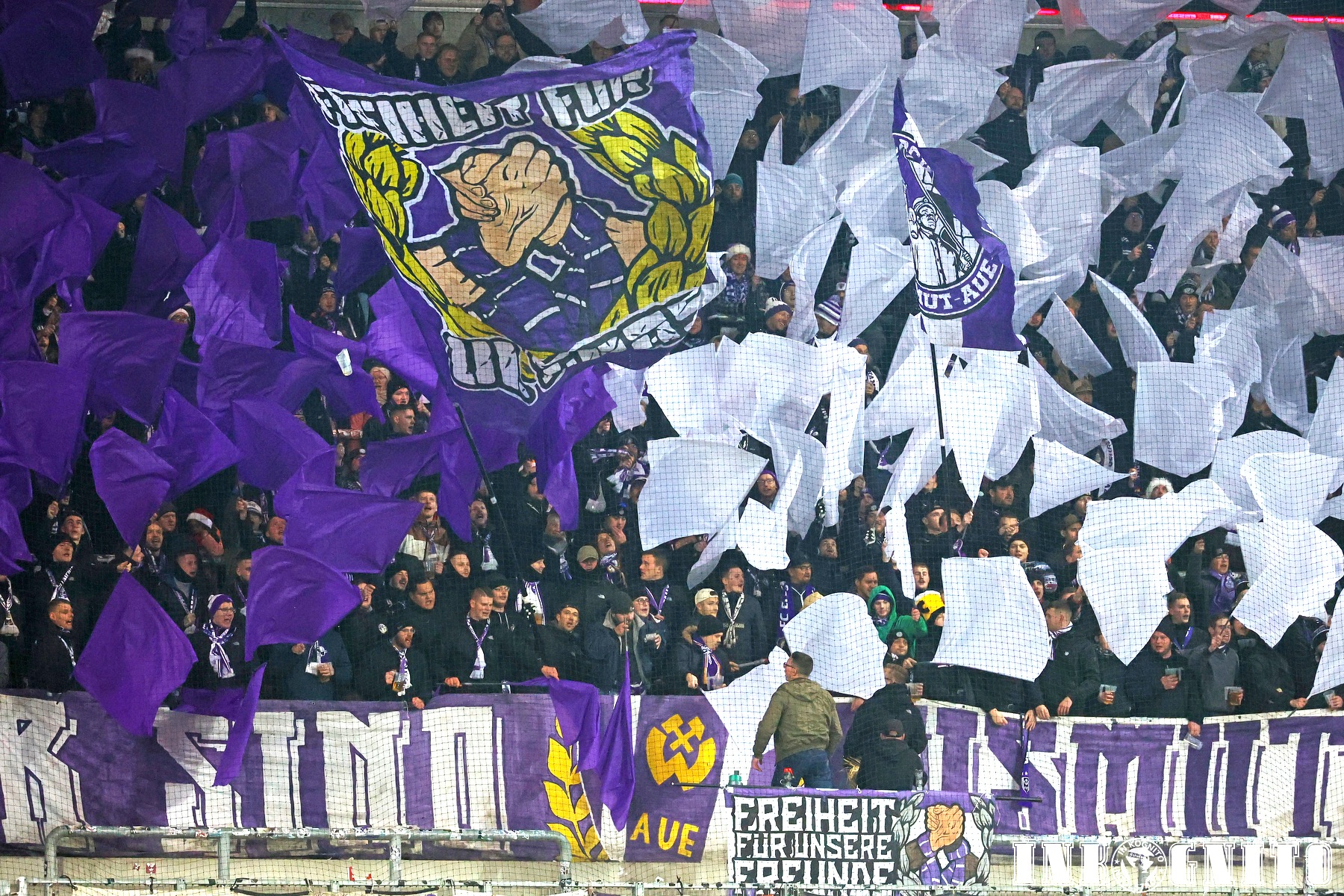 FC Ingolstadt – FC Erzgebirge Aue 1-1 (9)