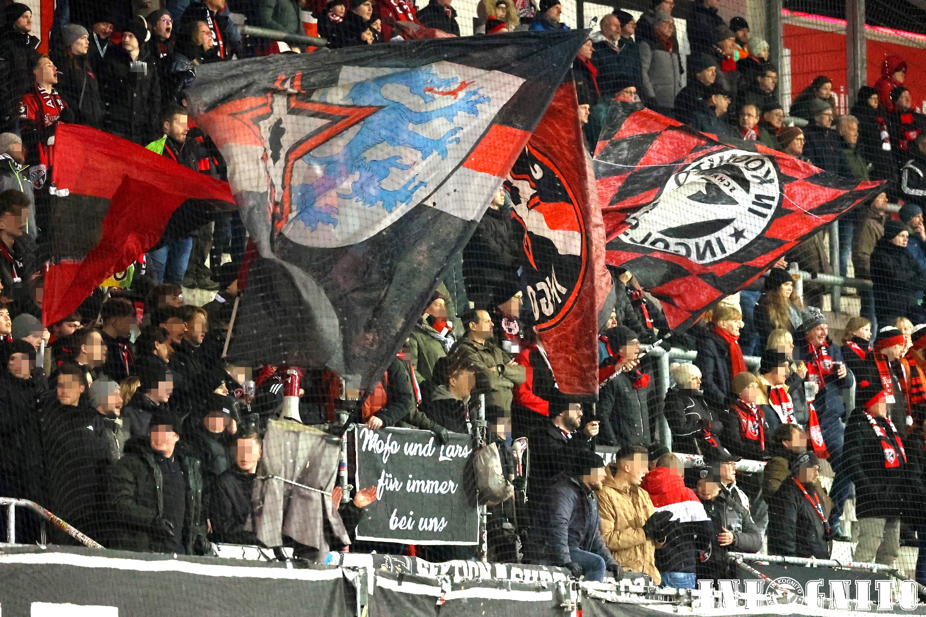 FC Ingolstadt – FC Erzgebirge Aue 1-1 (4)