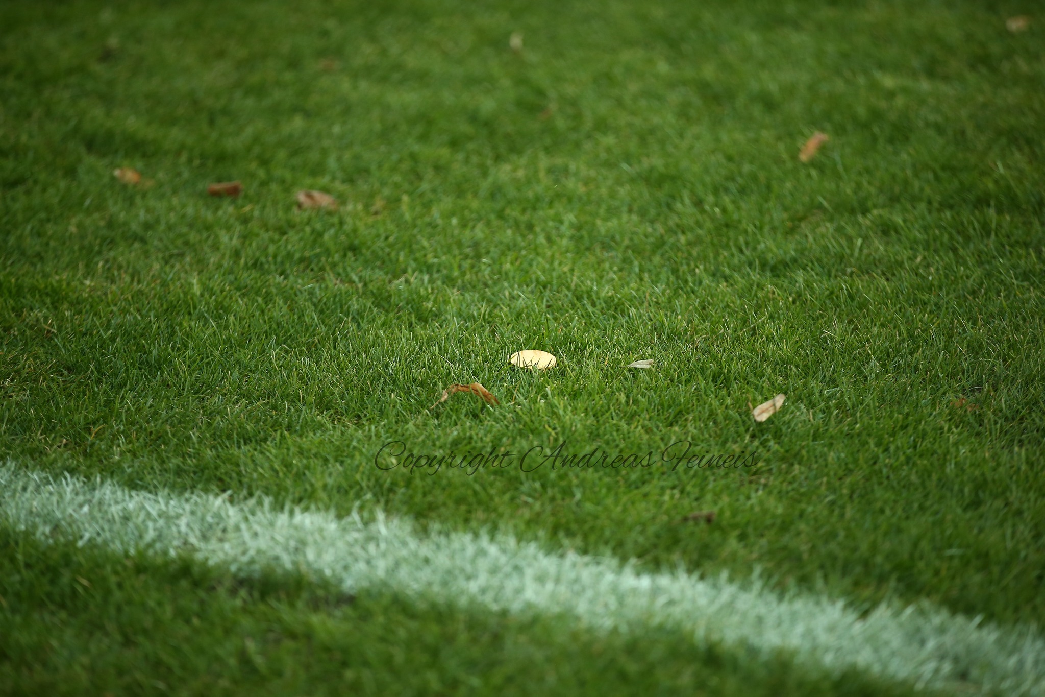 Hallescher FC – FC Ingolstadt 3-1 (1)