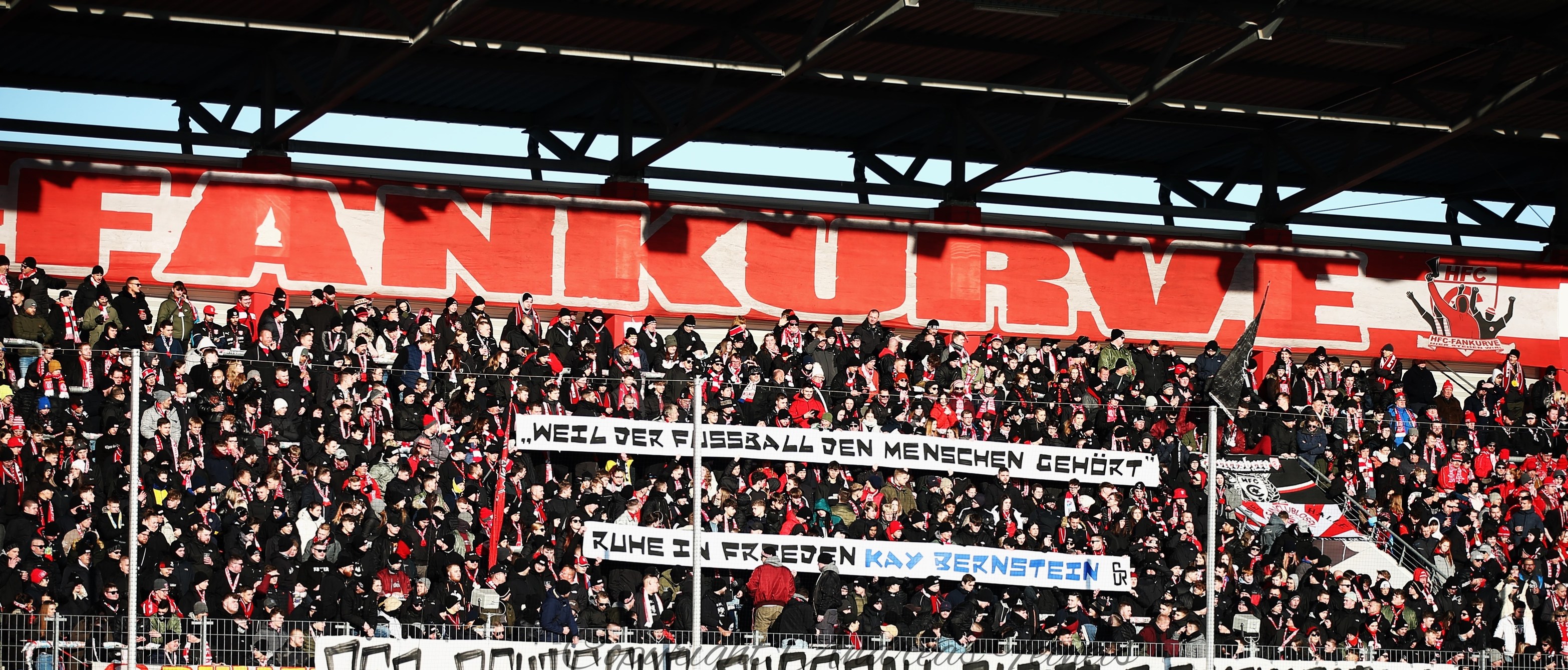 Hallescher FC – FC Ingolstadt 3-1 (9)