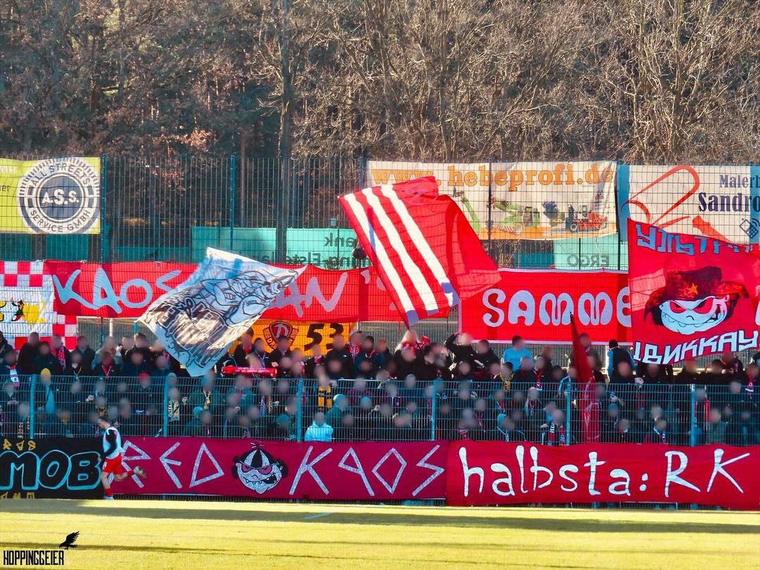 FSV Luckenwalde – FSV Zwickau 0-1 (1)