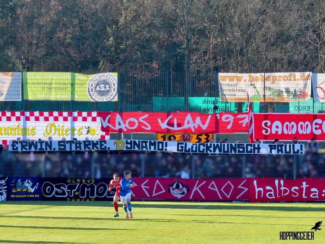 FSV Luckenwalde – FSV Zwickau 0-1 (4)