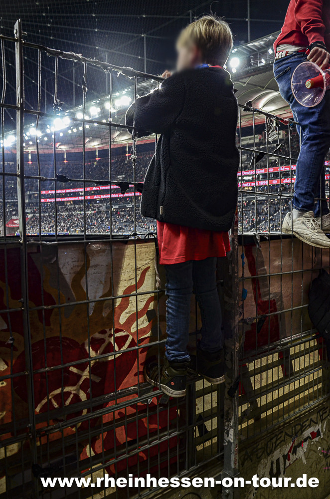 Eintracht Frankfurt – 1. FSV Mainz 05 1-0 (12)