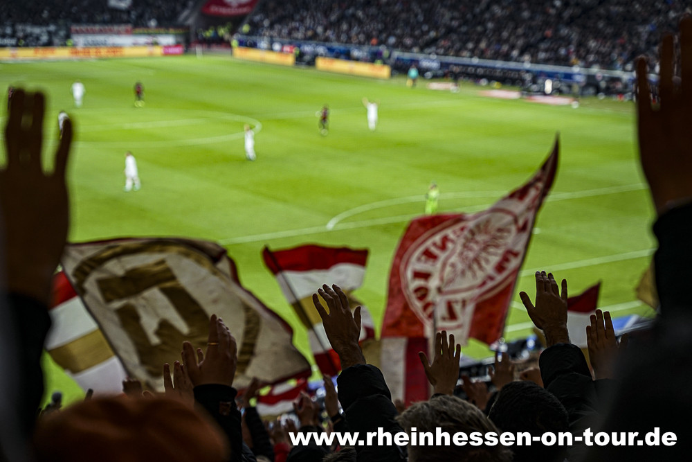 Eintracht Frankfurt – 1. FSV Mainz 05 1-0 (22)