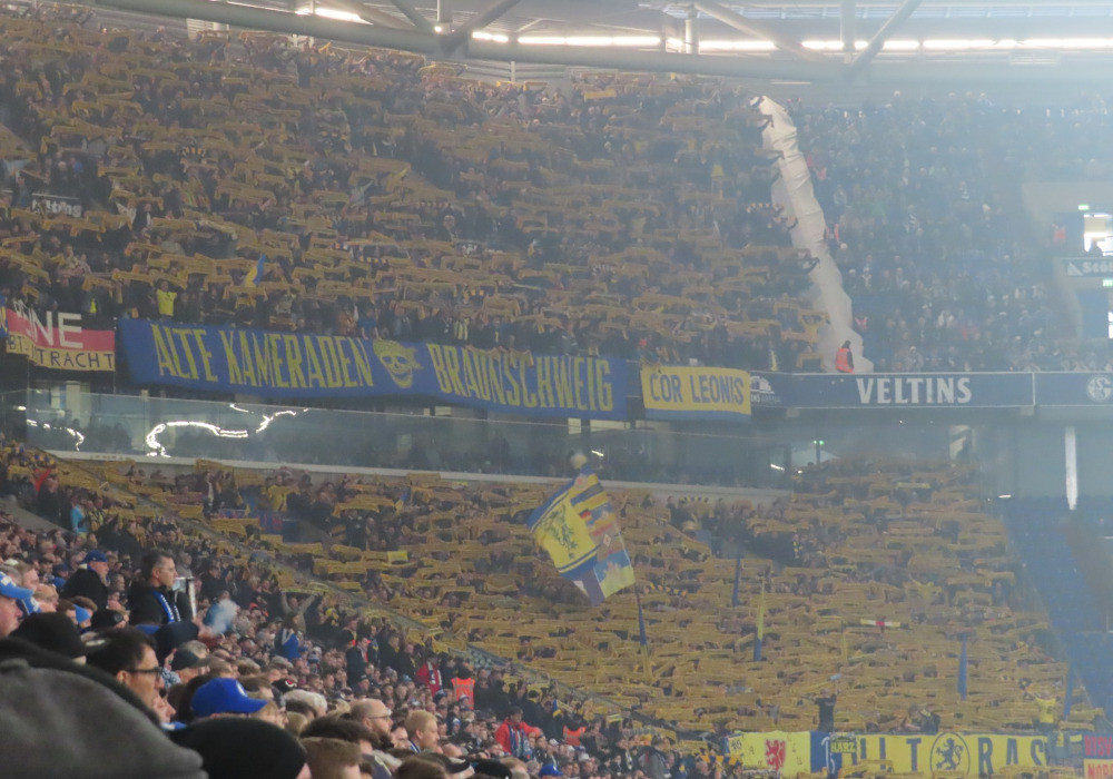 FC Schalke 04 – Eintracht Braunschweig 1-0 (1)